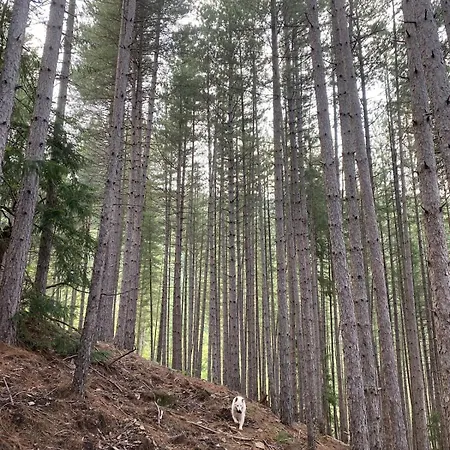 Tipi En Foret, Nuits Insolites En Ardeche
